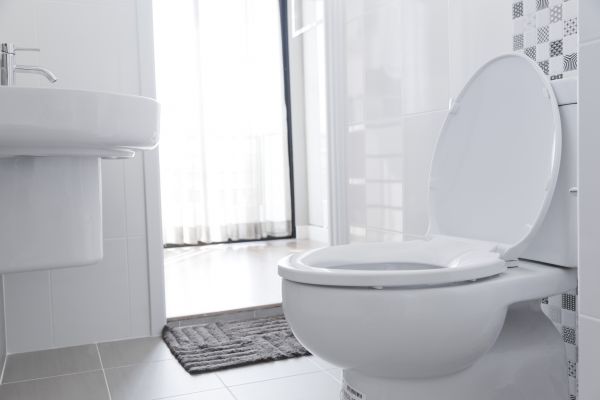 Cost of Toilet Relocation in Santa Cruz
